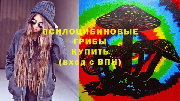 2c-b Белокуриха