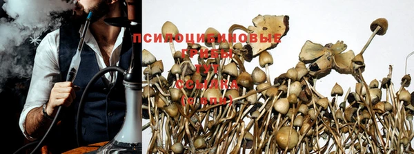 MESCALINE Семикаракорск