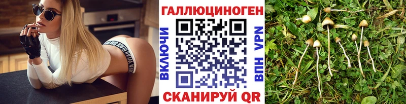 купить наркоту Ульяновск Псилоцибиновые грибы MAGIC MUSHROOMS